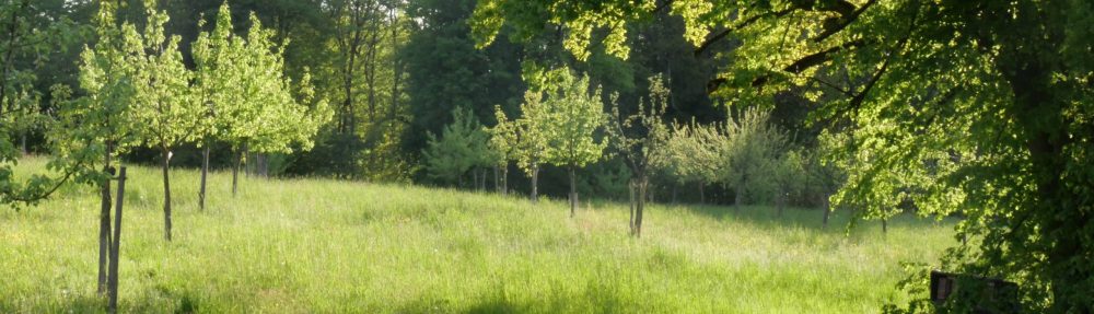 Obstbaumpflege-Fortbildung